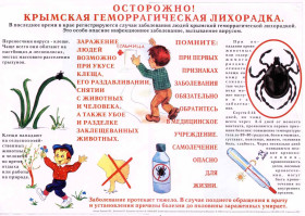 Крымская геморрагическая лихорадка (памятка для населения).